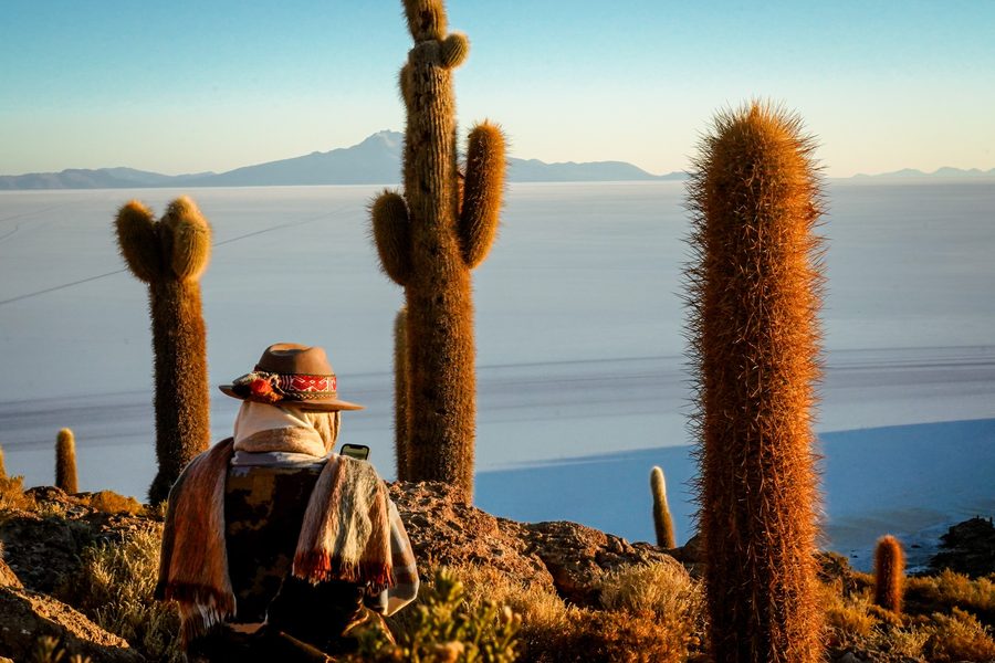 Seated figure among tall cactus plants overlooking a salt flat