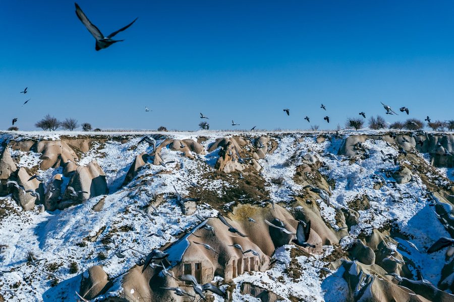 Snowy landscape with birds flying over rock formations
