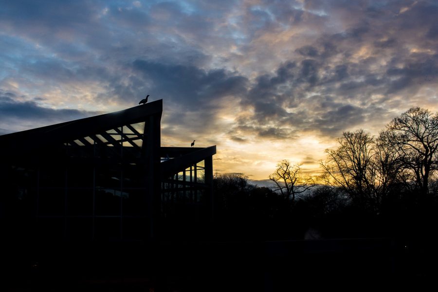 Dark architectural silhouette and birds against a dramatic sunset sky